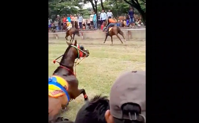 Kuda pacuan tabrak penonton dalam lintasan di Polewali. (Dok Istimewa)