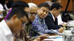 Wamen BUMN hingga Dirut PLN Rapat di DPR