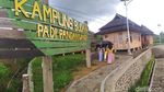 Sawah Cianjur yang Instagrammable Banget!