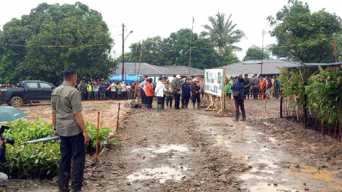 Presiden Joko Widodo (Jokowi) melakukan penanaman pohon vetiver atau akar wangi di Sukajaya, Kabupaten Bogor. Penanaman pohon itu dilakukan untuk memperbaiki ekosistem di wilayah tersebut.