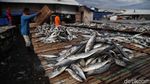 Geliat Produksi Ikan Asin yang Lesu di Musim Hujan