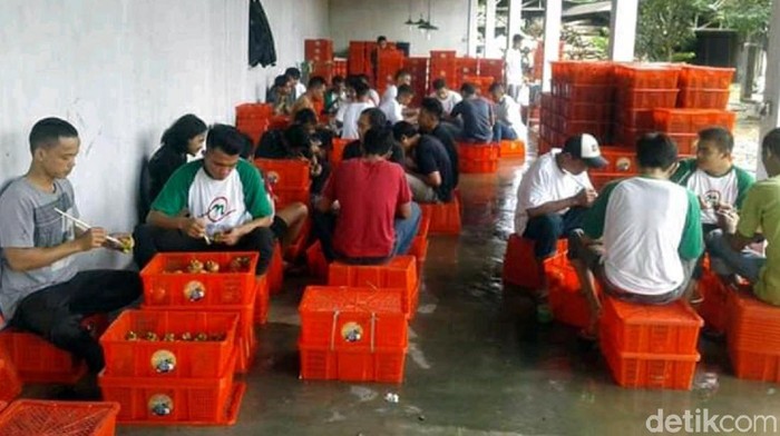 Ekspor Manggis Sukabumi ke China Ditunda