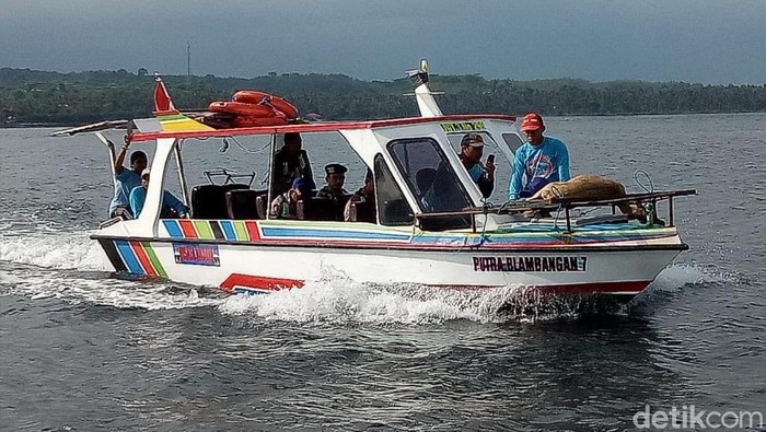 Seekor kijang betina terdampar di Pantai Grand Watudodol (GWD) Desa Bangsring, Kecamatan Wongsorejo. Diduga, hewan dilindungi ini berasal dari Taman Nasional Bali Barat (TNBB), Bali.