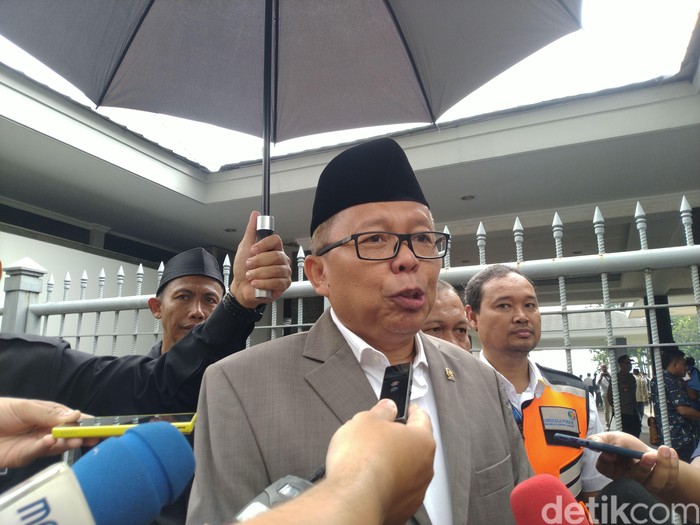 Arsul Sani (Sachril Agustin Berutu/detikcom)