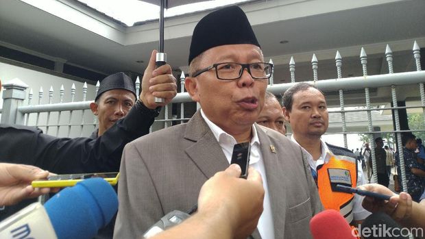 Arsul Sani (Sachril Agustin Berutu/detikcom)