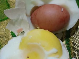 Ini Dia Penampakan Telur dalam Telur di Makassar