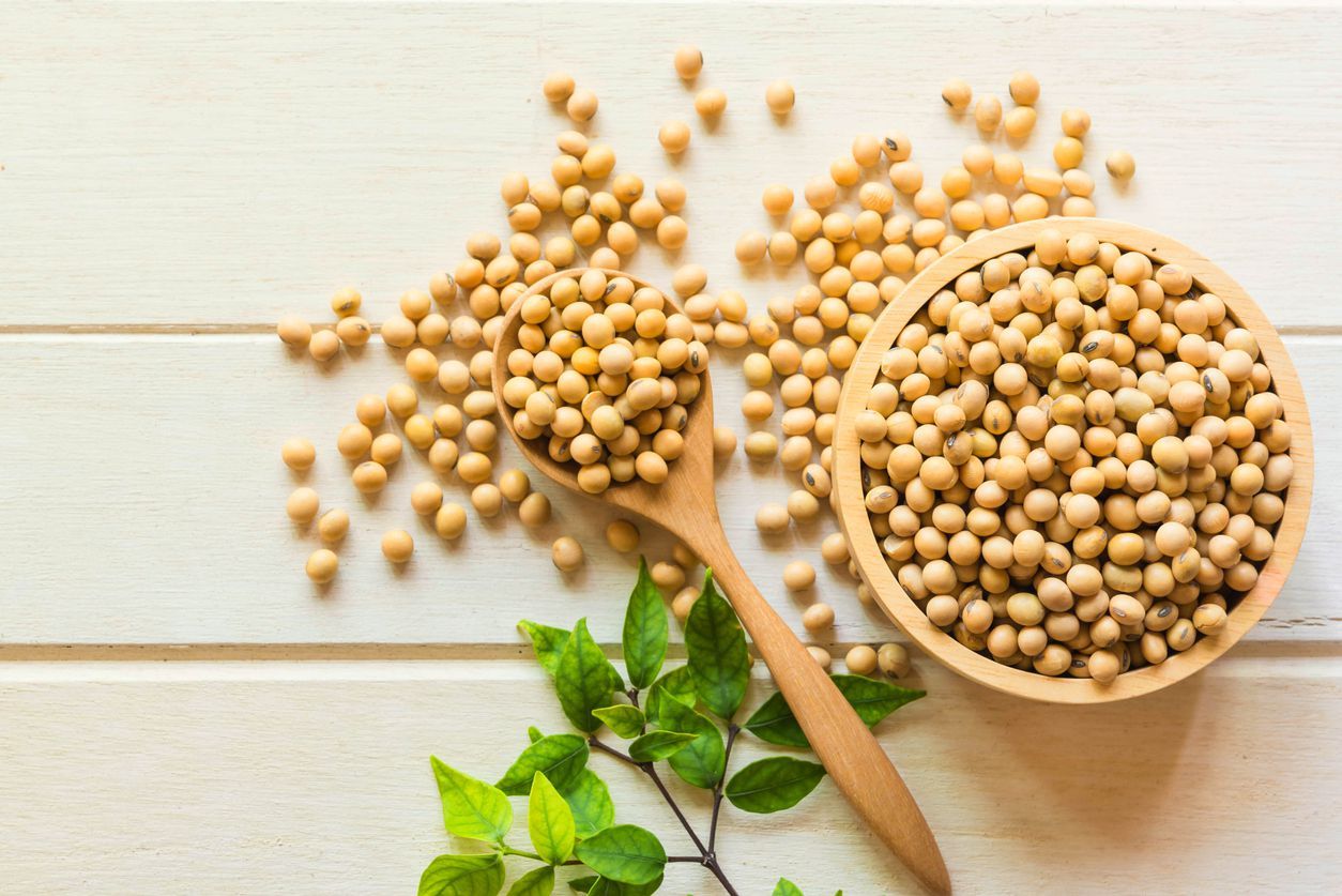 Soy been on spoon it on white table background with copy space,healthy concept.