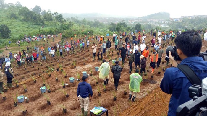 Presiden Joko Widodo (Jokowi) melakukan penanaman pohon vetiver atau akar wangi di Sukajaya, Kabupaten Bogor. Penanaman pohon itu dilakukan untuk memperbaiki ekosistem di wilayah tersebut.