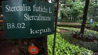 Pepohonan rindang di kawasan ini selain bisa menghasilkan oksigen yang menyegarkan, juga memberikan informasi edukatif mengenai jenis-jenis pohon khas Indonesia dan dunia.