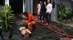 Aksi Pemadam Kebakaran Jinakkan Api di Gunung Sahari