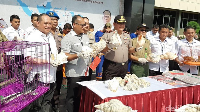 penjualan satwa dilindungi digagalkan