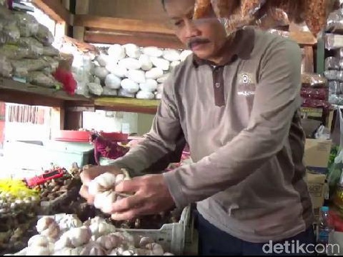 Penjual harga bawang putih di probolinggo