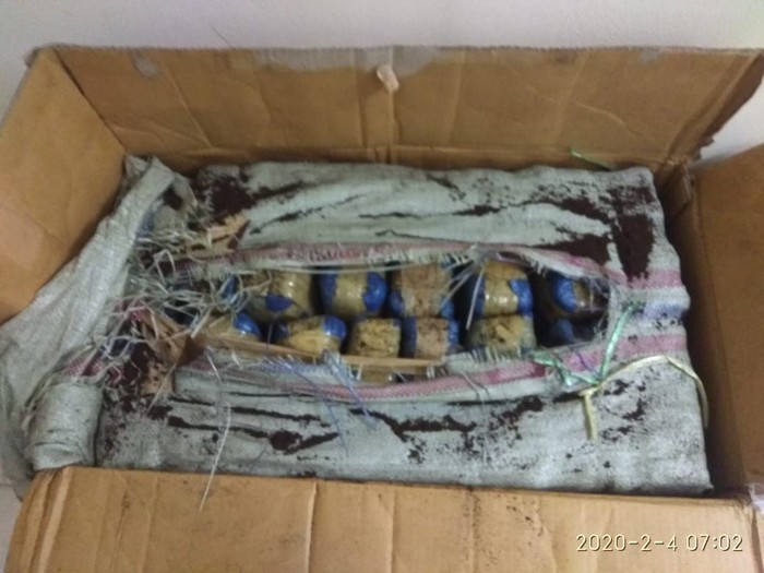 Ganja yang disita dalam penggerebekan di Pluit/Dok Istimewa