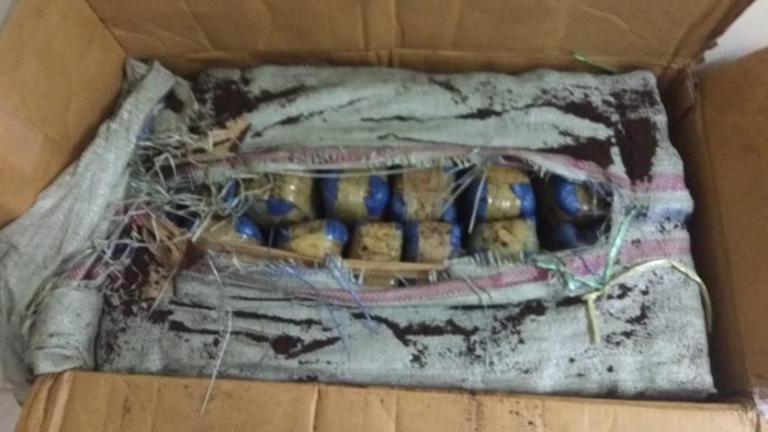 Ganja yang disita dalam penggerebekan di Pluit/Dok Istimewa