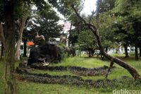 Rumput liar yang telah meninggi di area taman.