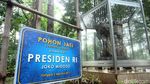 Kafe Ala Puncak di Hutan Kota Jakarta