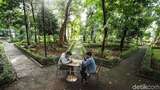 Kafe Ala Puncak di Hutan Kota Jakarta