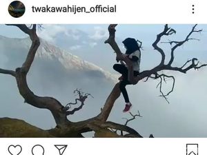Bahaya! Traveler Ini Panjat Pohon Kering di Atas Kawah Ijen