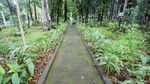 Kafe Ala Puncak di Hutan Kota Jakarta