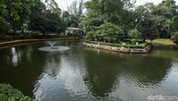 Di dalan hutan kota itu juga terdapat kolam. 