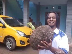 Budidaya Tanaman Porang dan Kisah Eks Pemulung yang Jadi Miliarder