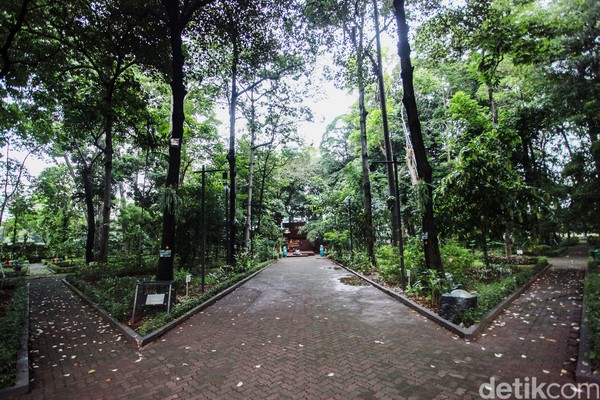 Tempat ini dinilai cocok untuk bersantai di tengah padatnya aktivitas dan hiruk-pikuk Jakarta. Pastinya, bakal makin keren kalau dipoles lagi. Tempat ini dinilai cocok untuk bersantai di tengah padatnya aktivitas dan hiruk-pikuk Jakarta. Pastinya, bakal makin keren kalau dipoles lagi.