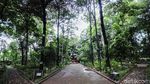 Kafe Ala Puncak di Hutan Kota Jakarta