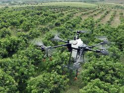 Drone Anti Virus Corona yang Dipakai China Awasi Warga