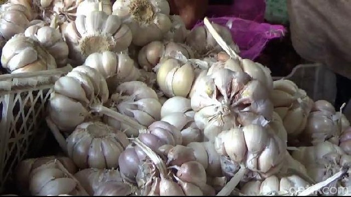 Penjual harga bawang putih di probolinggo