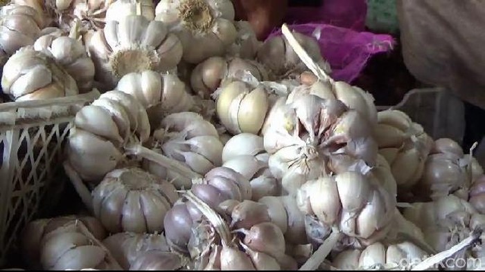 Penjual harga bawang putih di probolinggo