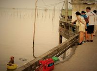 Nenek 85 Tahun Ini Kumpulkan Seafood untuk Biayai Putrinya yang Sakit