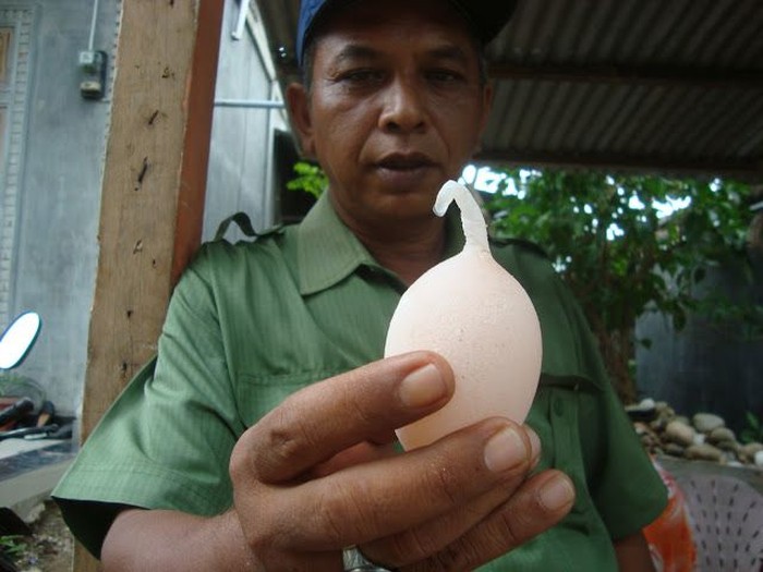 telur unik