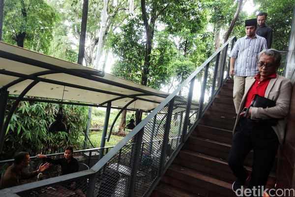 Arborea Cafe adalah salah satu kafe baru yang ada di Jakarta atau tepatnya berada di Manggala Wanabakti di kompleks Kementerian Lingkungan Hidup. Arborea Cafe adalah salah satu kafe baru yang ada di Jakarta atau tepatnya berada di Manggala Wanabakti di kompleks Kementerian Lingkungan Hidup.