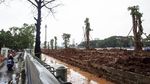 Ini Penampakan Pohon Pengganti Revitalisasi Monas