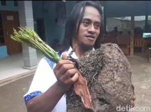 Setelah Jadi Miliarder, Mantan Pemulung Ini Bagikan Ilmu Tanam Porang