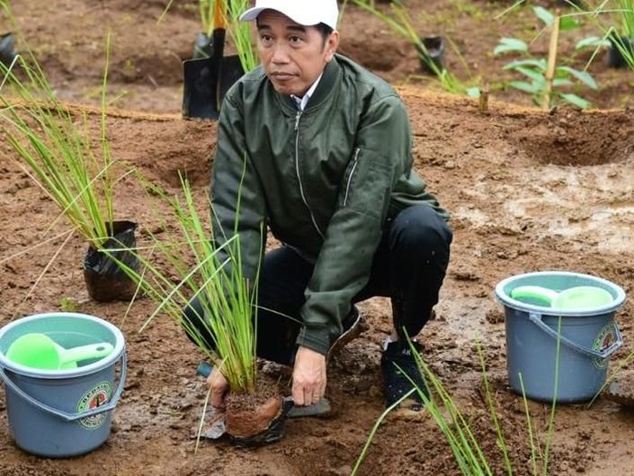 Presiden Jokowi menanam vetiver di Sukajaya, Kabupaten Bogor. (Dok Twitter dan Instagram Jokowi)