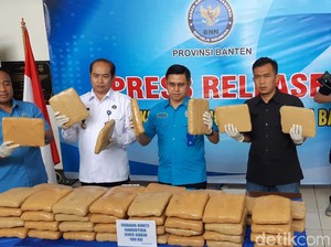 BNN Banten Tangkap Pengedar 100 Kg Ganja Jaringan Lapas Jabar