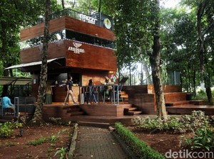 5 Kafe Nyaman yang Murah untuk Nongkrong di Akhir Pekan