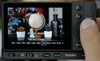 Sigma fp, Kamera Mirrorless Menyenangkan dengan Hasil Foto Memuaskan