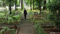 Di hutan seluas sekitar 4 hektar ini, tumbuh ratusan pohon dari 52 jenis spesies baik endemik Indonesia maupun khas negara lain.