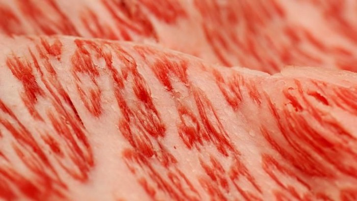 istilah daging sapi dari wagyu, usda prime beef, kobe, grass fed, grass finished fed, wet aged, dry aged