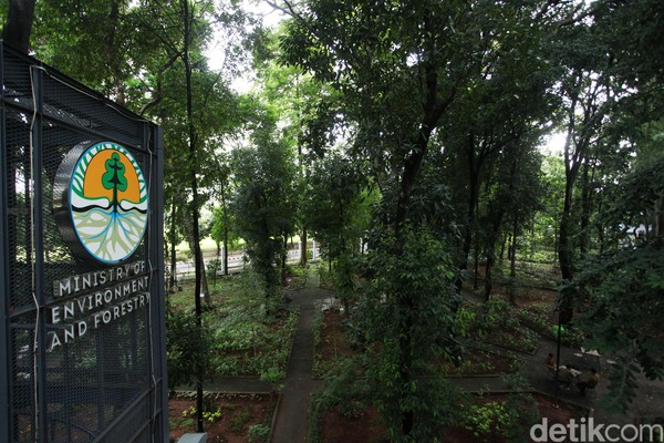 Arboretum ini menerapkan zero plastic, jadi traveler diimbau tidak membawa botol atau makanan berbungkus plastik. Selain itu, traveler juga harus menjaga kebersihan dengan membuang sampah pada tempat sampah yang sudah disediakan. Arboretum ini menerapkan zero plastic, jadi traveler diimbau tidak membawa botol atau makanan berbungkus plastik. Selain itu, traveler juga harus menjaga kebersihan dengan membuang sampah pada tempat sampah yang sudah disediakan.