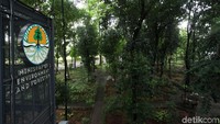 Arboretum ini menerapkan zero plastic, jadi traveler diimbau tidak membawa botol atau makanan berbungkus plastik. Selain itu, traveler juga harus menjaga kebersihan dengan membuang sampah pada tempat sampah yang sudah disediakan.