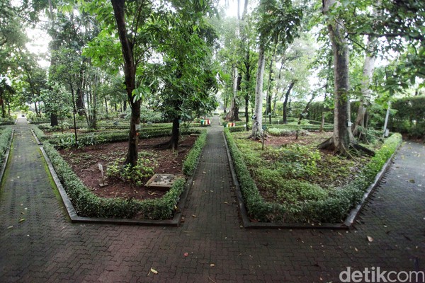 Berada di tengah ibu kota, hutan ini seolah menjadi oase bagi masyarakat Jakarta dan sekitarnya yang haus akan kesejukan namun tak ingin pergi jauh sampai ke luar kota. Berada di tengah ibu kota, hutan ini seolah menjadi oase bagi masyarakat Jakarta dan sekitarnya yang haus akan kesejukan namun tak ingin pergi jauh sampai ke luar kota.