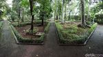 Kafe Ala Puncak di Hutan Kota Jakarta