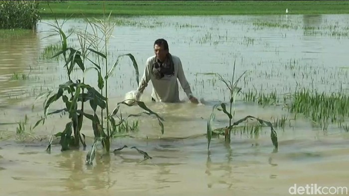 Tiga titik jalan yang menghubungkan Kecamatan Tikung dengan Sarirejo terputus. Jalan terputus akibat banjir setelah hujan lebat yang melanda Lamongan pada Selasa (4/2) malam.