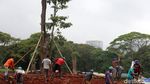Pemprov DKI Tanam 573 Pohon Pengganti di Kawasan Monas
