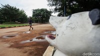 Taman yang diresmikan Jokowi saat menjabat sebagai Gubernur DKI tersebut selalu ramai dikunjungi warga.