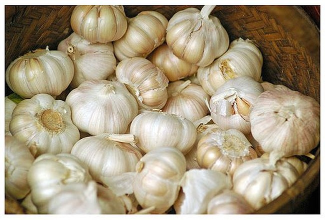 Stop Impor Bawang Putih Karena Corona, Ini Keistimewaan Bawang Putih China