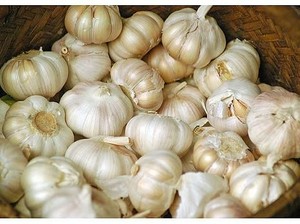Heboh Corona, Impor Bawang Putih dari China Masih Dibuka